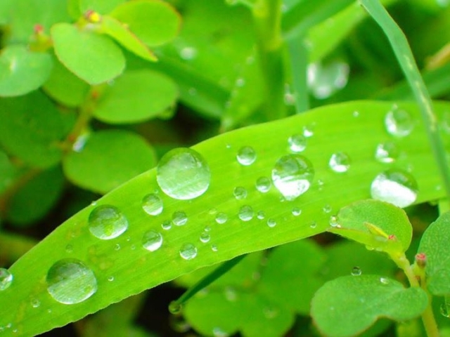 雨が好きな理由とは 苦手な雨を好きになる方法は 季節つれづれブログ